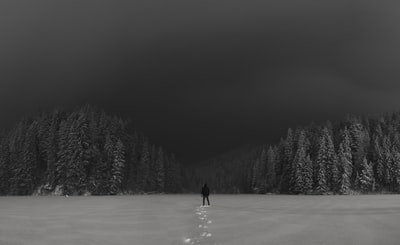 站在雪地上的人的灰度照片